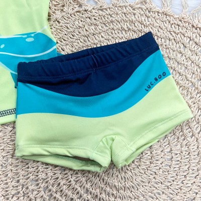 Linha Praia Blusa M/L e Sunga Divesaurus Day - Verde Cítrico
